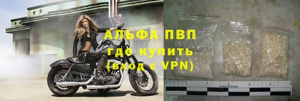 a pvp Инта