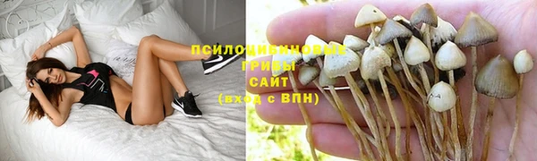 a pvp Инта
