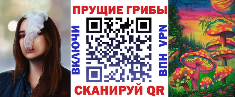 купить закладку  OMG зеркало  Псилоцибиновые грибы Cubensis  Касли 